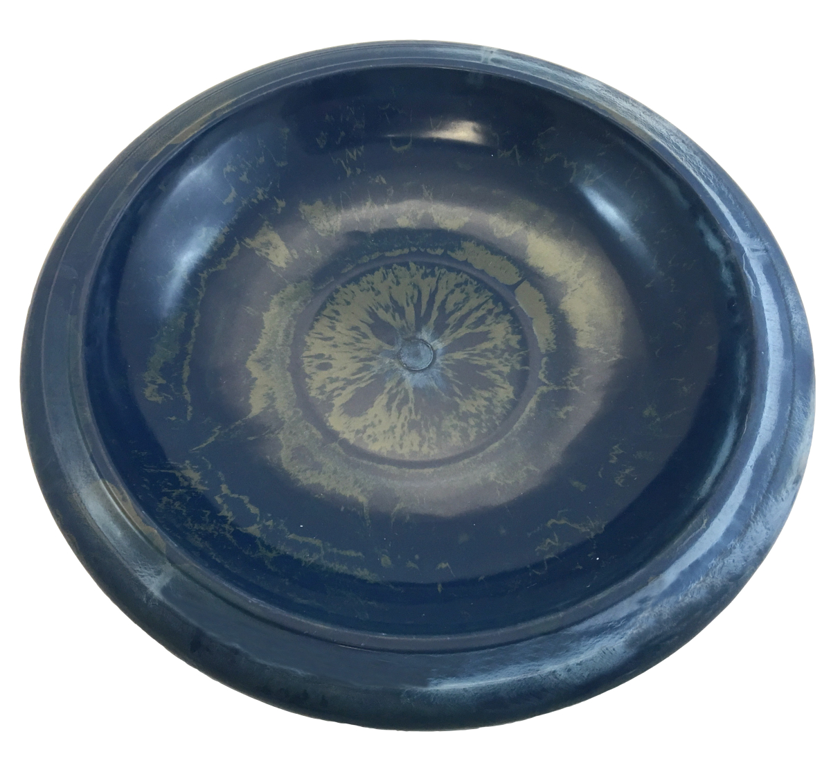 Tierra Navy Blue Gloss Bird Bowl w/Gloss Rim